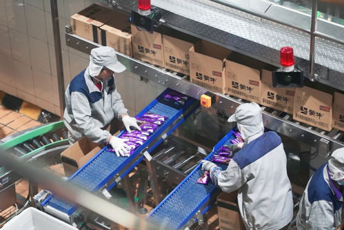 蒙牛乳業攜手馬鞍山，驅動綠色食品產業邁向新征程